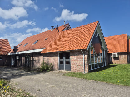 Reiniging dakpannen