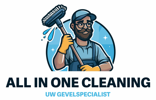 All In One Cleaning 